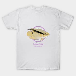 Festivum Cichlid T-Shirt